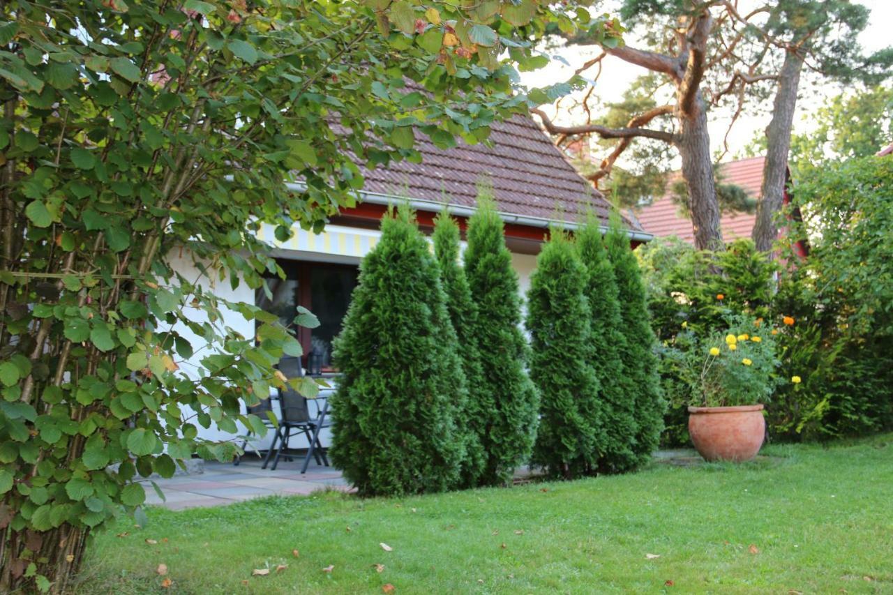 Kinnerstuw Prerow